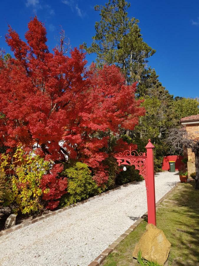 Winston Cottage At Three Sisters คาทุมบา ภายนอก รูปภาพ